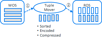 버티카 Tuple mover moveout task