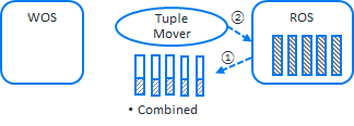 버티카 Tuple mover mergeout task